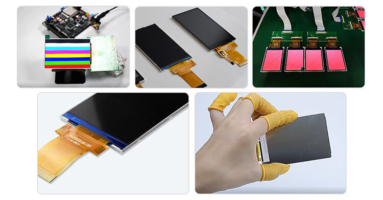 恭喜, 站点创建成功
    
        .container {
            width: 60%;
            margin: 10% auto 0;
            background-color: #f0f0f0;
            padding: 2% 5%;
            border-radius: 10px
        }

        ul {
            padding-left: 20px;
        }

            ul li {
                line-height: 2.3
            }

        a {
            color: #20a53a
        }
    
 



          window.onload = function() {
              document.onkeydown = function() {