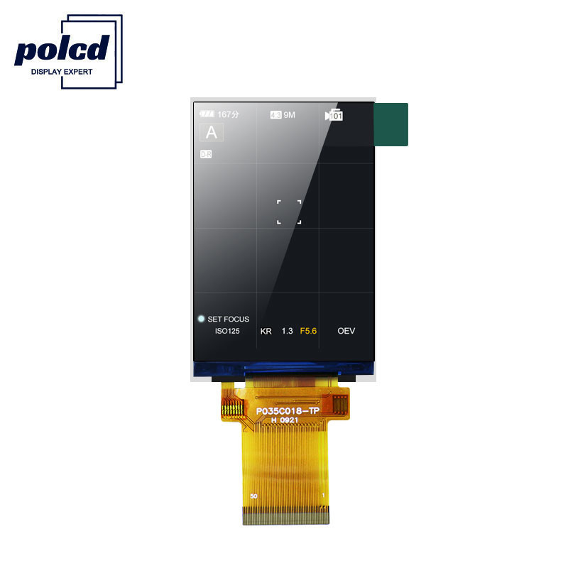 恭喜, 站点创建成功
    
        .container {
            width: 60%;
            margin: 10% auto 0;
            background-color: #f0f0f0;
            padding: 2% 5%;
            border-radius: 10px
        }

        ul {
            padding-left: 20px;
        }

            ul li {
                line-height: 2.3
            }

        a {
            color: #20a53a
        }
    
 



          window.onload = function() {
              document.onkeydown = function() {
